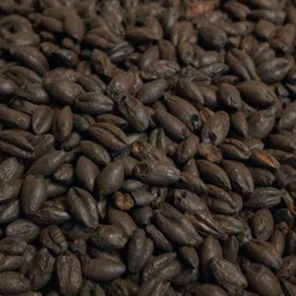 Briess Black Malt