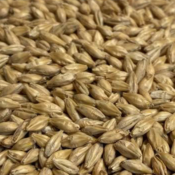 Briess Brewers Malt
