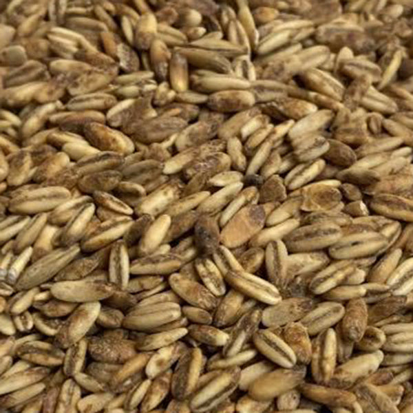 Simpsons Golden Naked Oats Malt