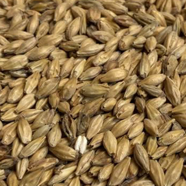 Gambrinus Honey Malt