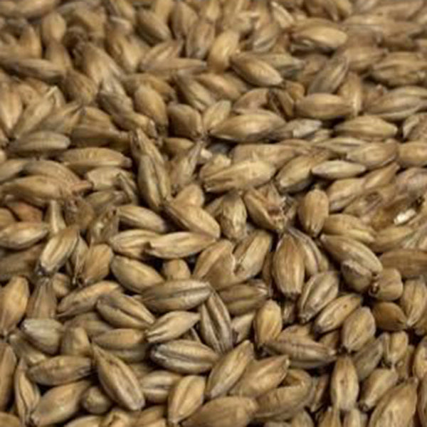 Warminster Floor Malted Maris Otter Malt