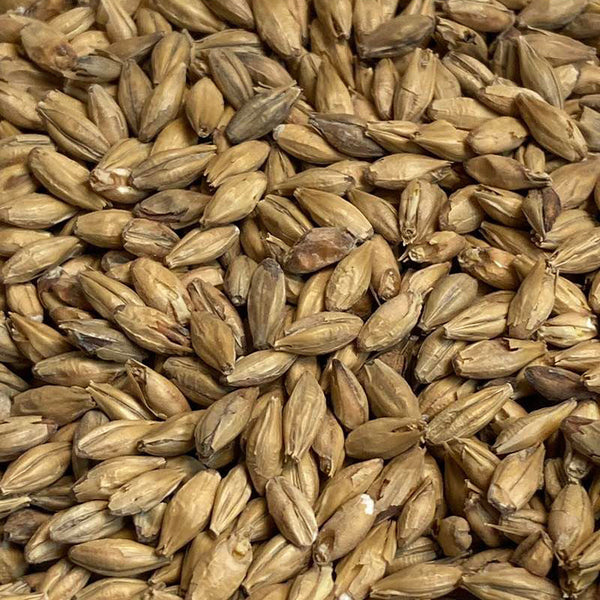 Avangard Munich Light Malt