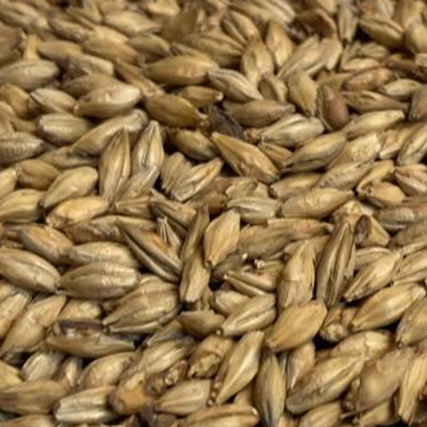 Avangard Pilsener Malt