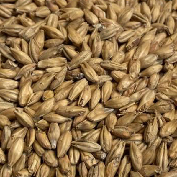 Avangard Vienna Malt