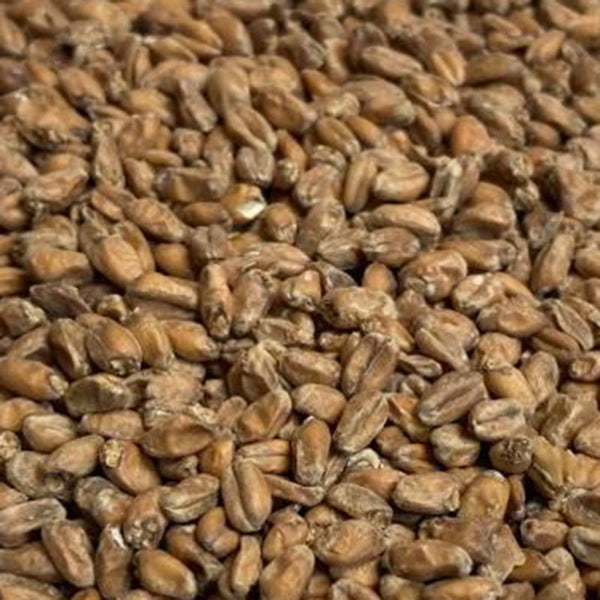 Avangard Wheat Malt