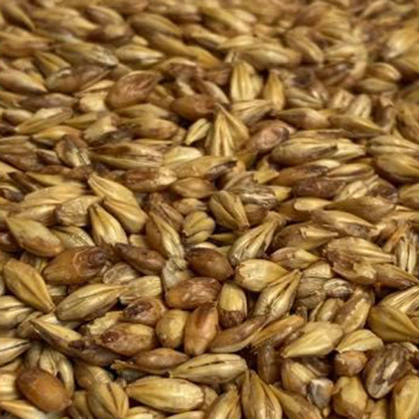 Briess Caramel 10L Malt