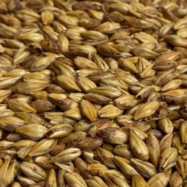 Briess Caramel 20L Malt
