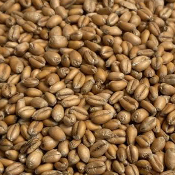 Briess Torrified Wheat