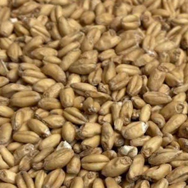 Briess White Wheat Malt
